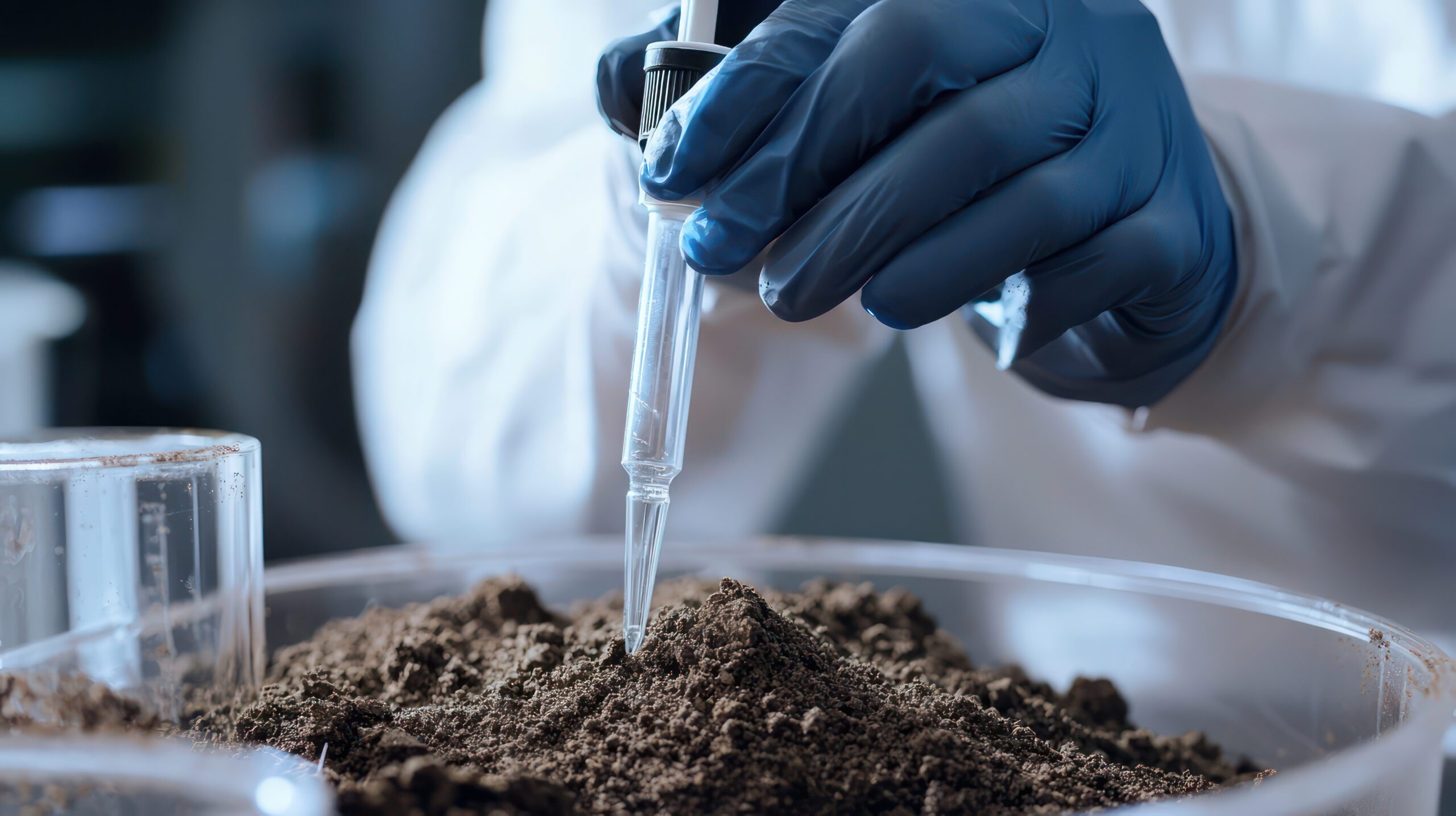 Soils